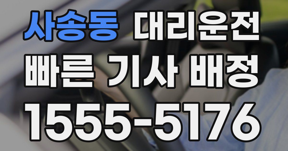 일일대리기사