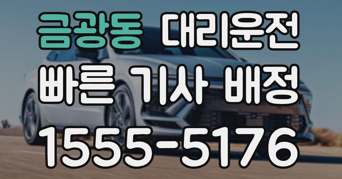 일일대리기사