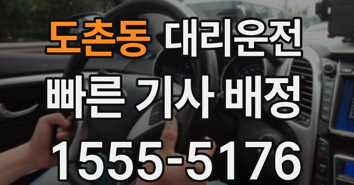 일일대리기사
