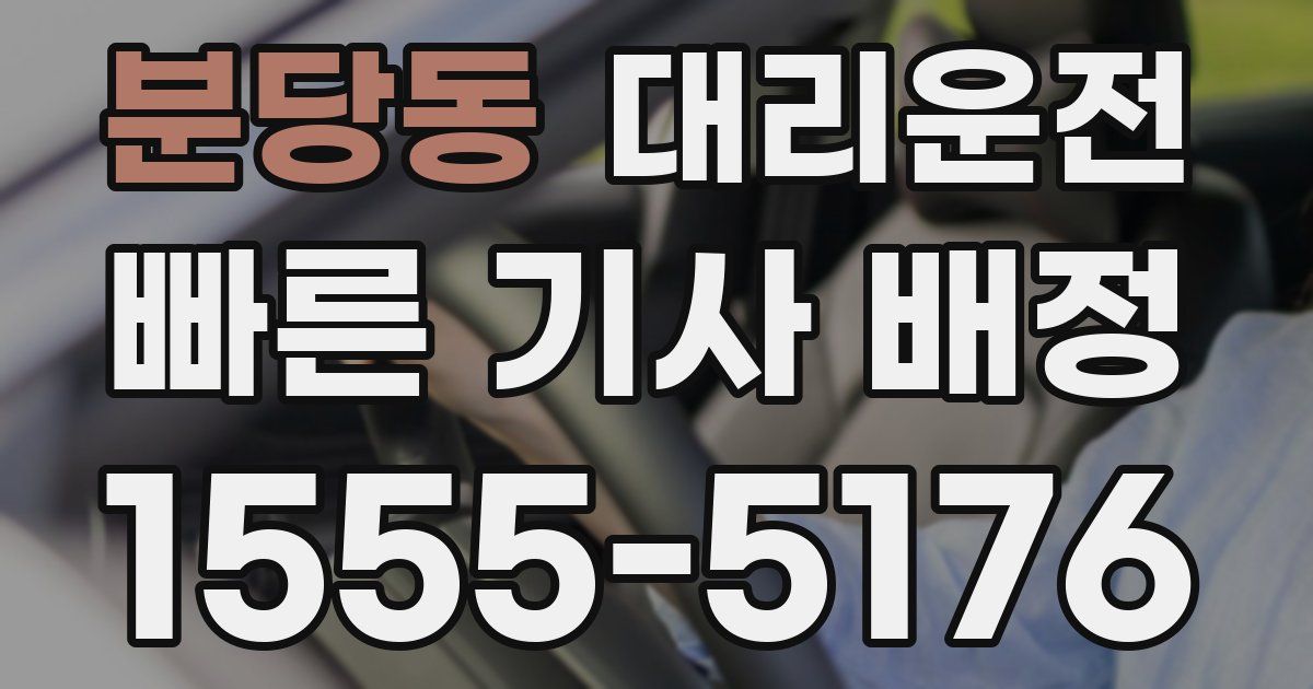 일일대리기사