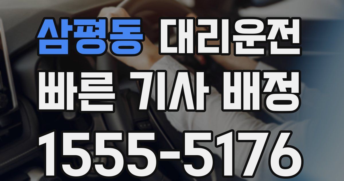일일대리기사