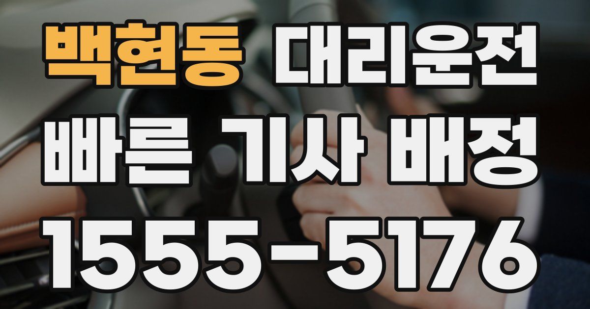 일일대리기사