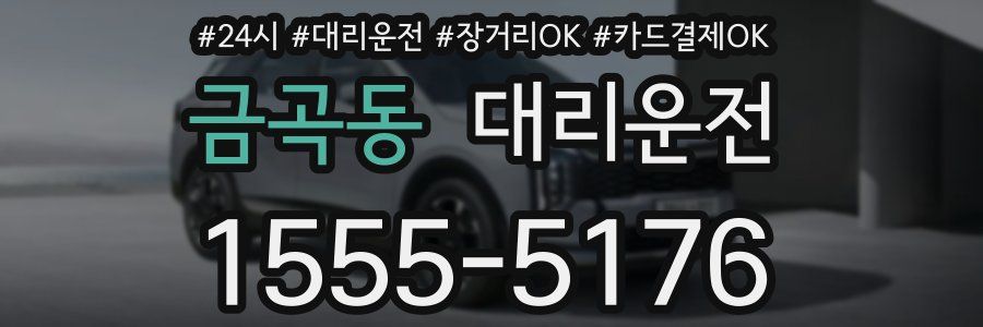 금곡동 대리운전