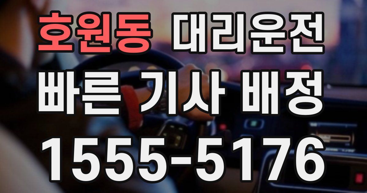 일일대리기사