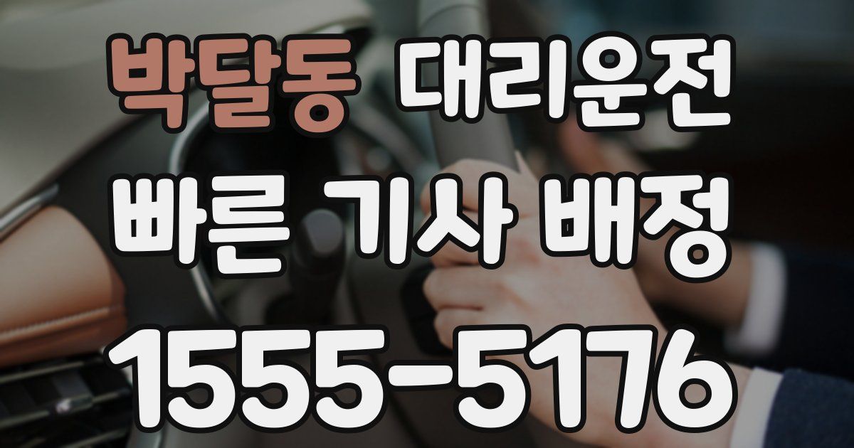 일일대리기사