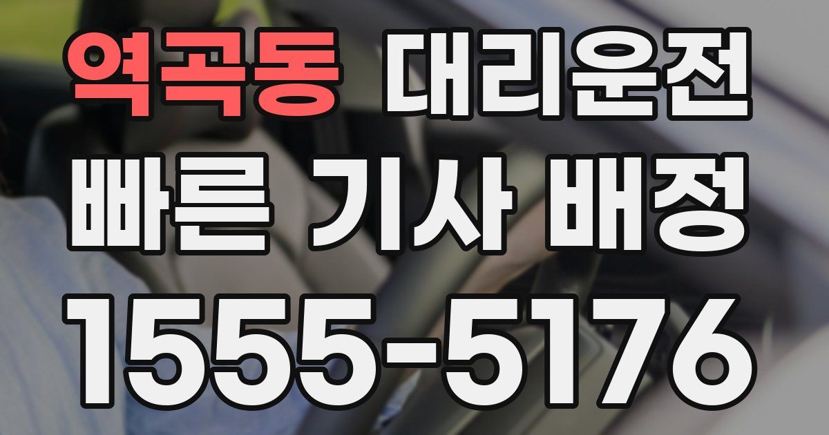 일일대리기사