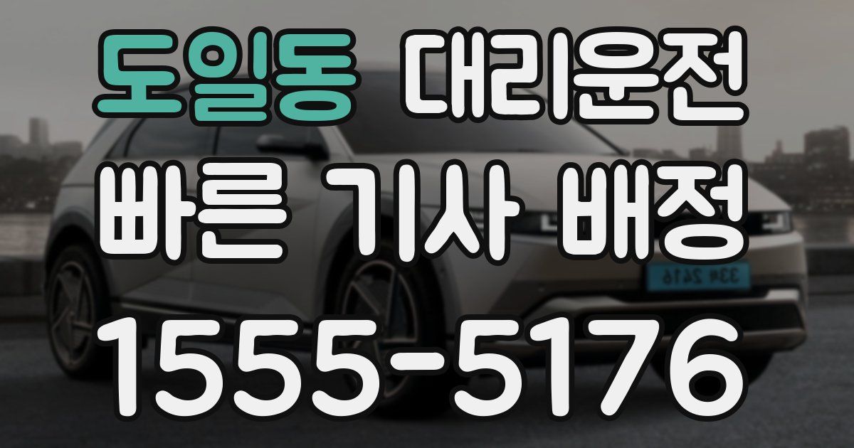 일일대리기사