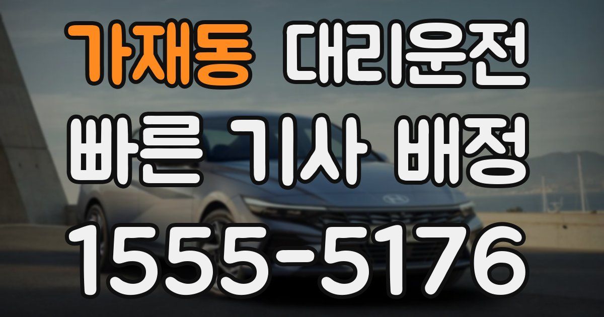일일대리기사
