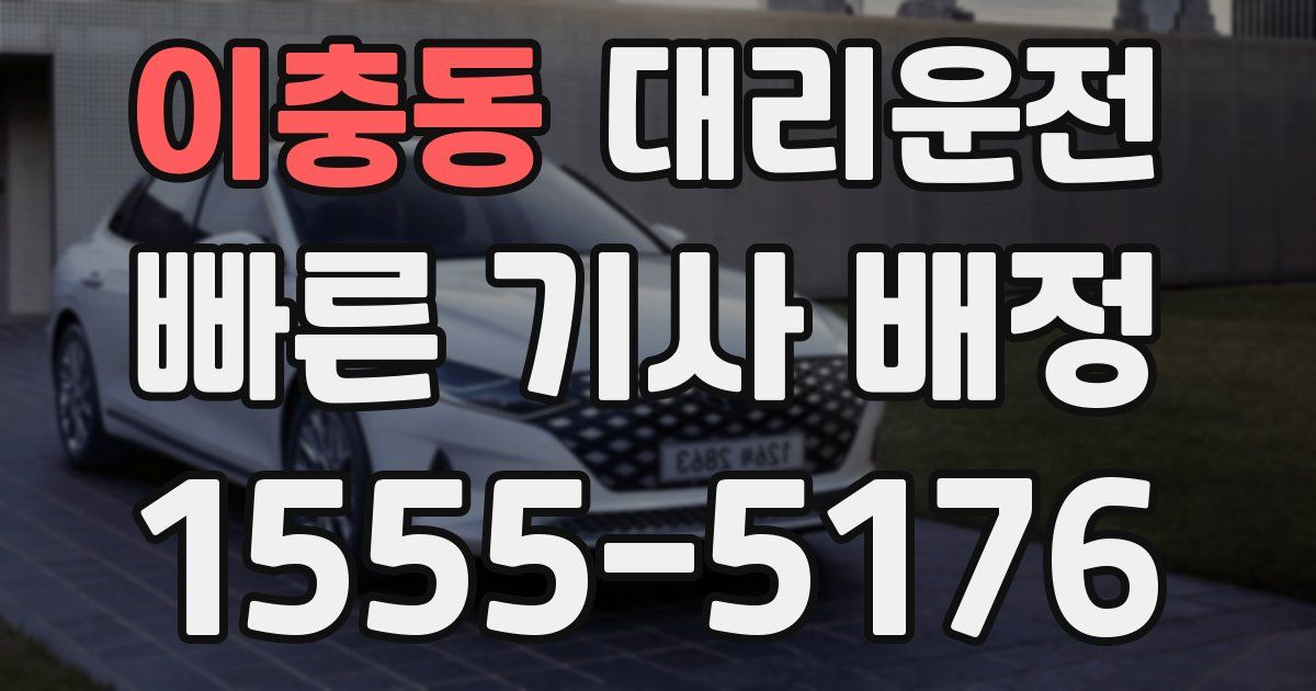 일일대리기사