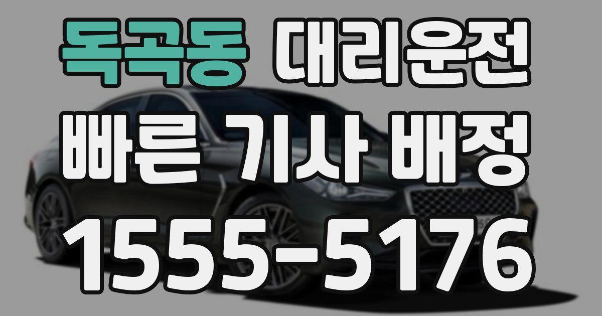 일일대리기사