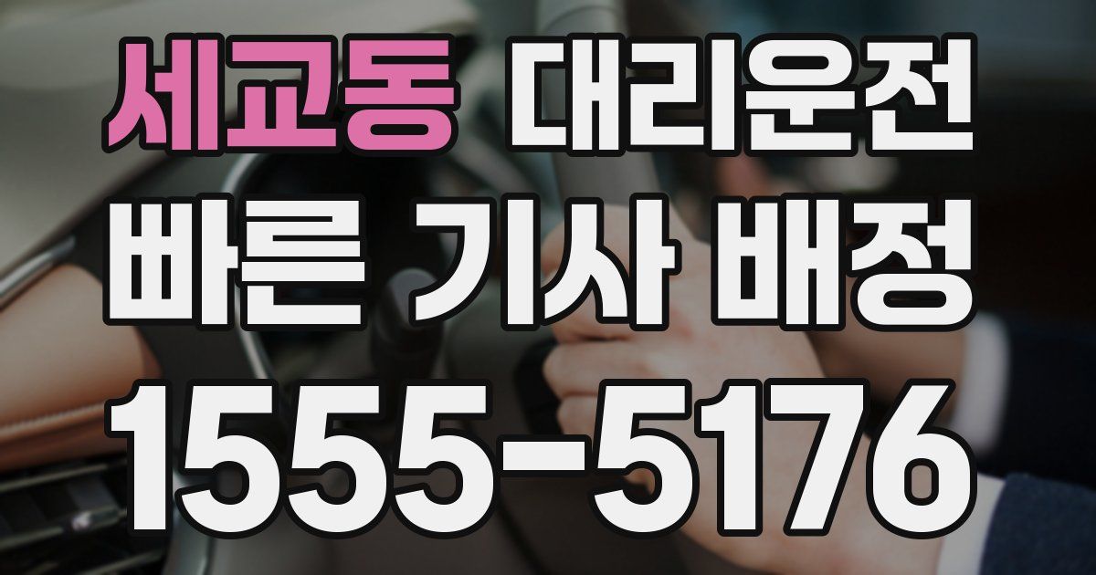 일일대리기사