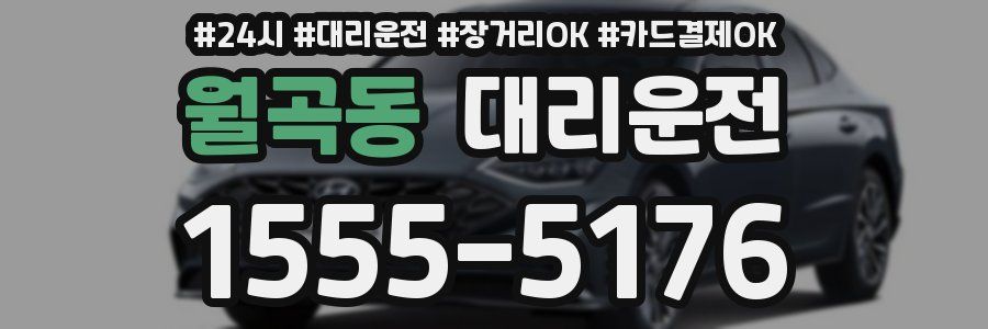 월곡동 대리운전