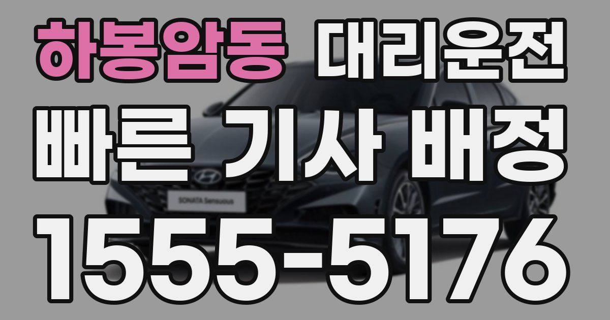 일일대리기사