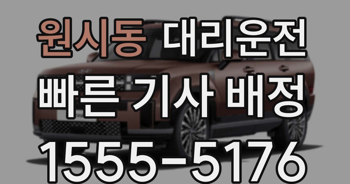 일일대리기사