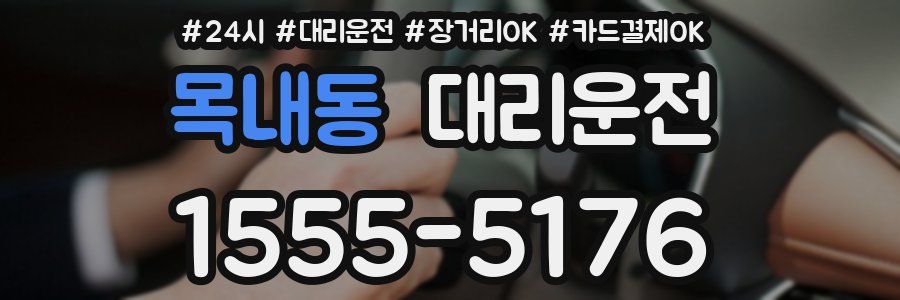 목내동 대리운전