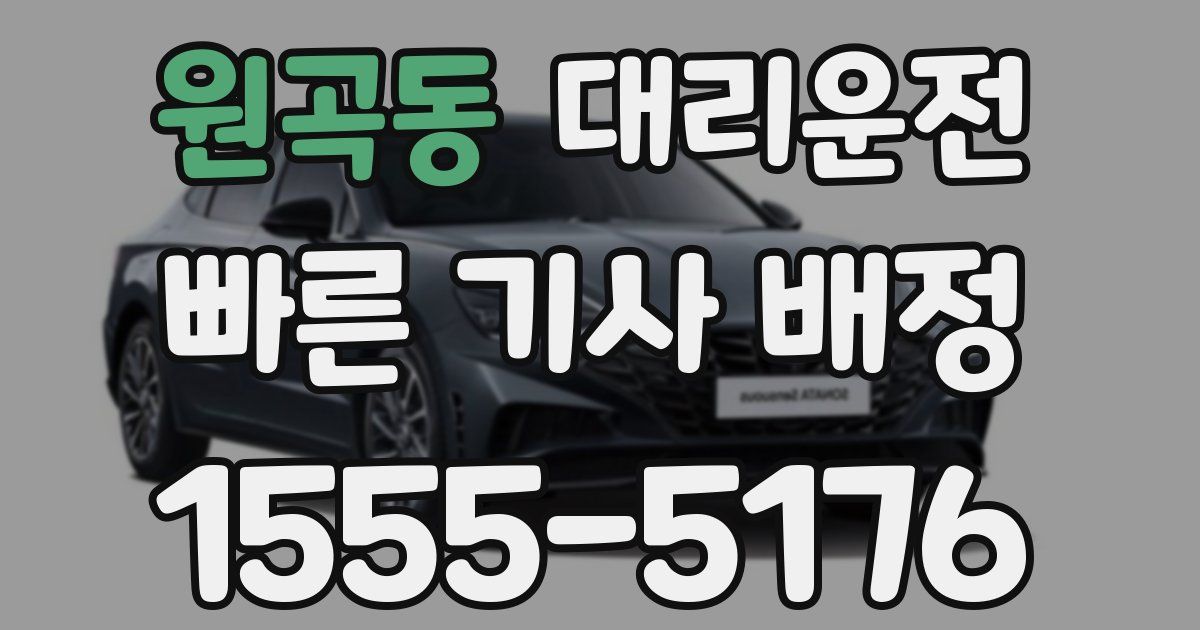 일일대리기사