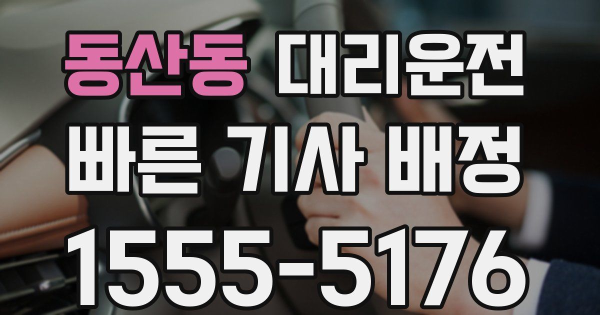 일일대리기사