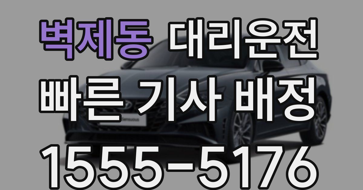 일일대리기사