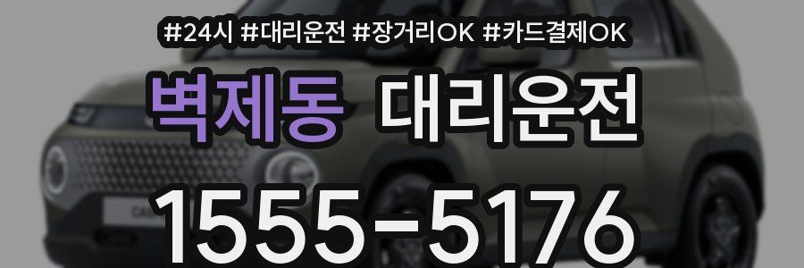 벽제동 대리운전