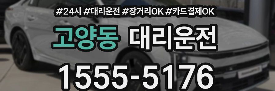고양동 대리운전