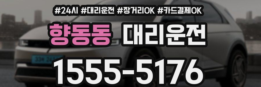 향동동 대리운전