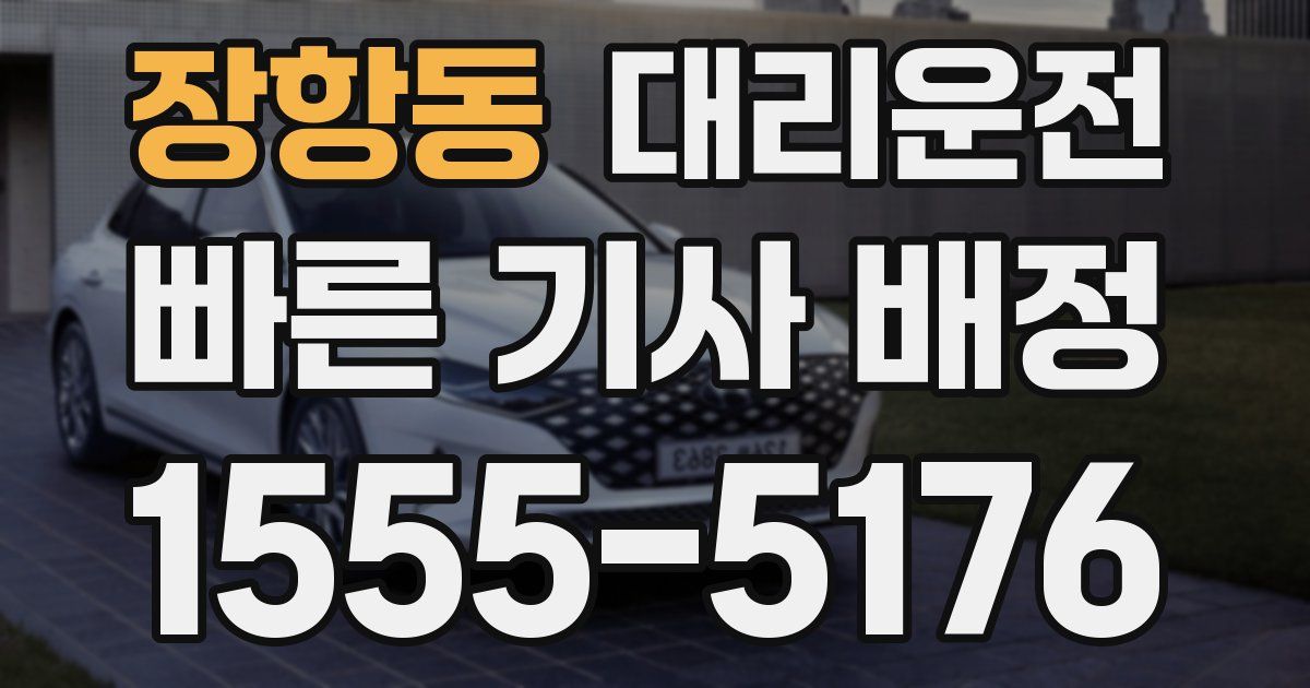 일일대리기사