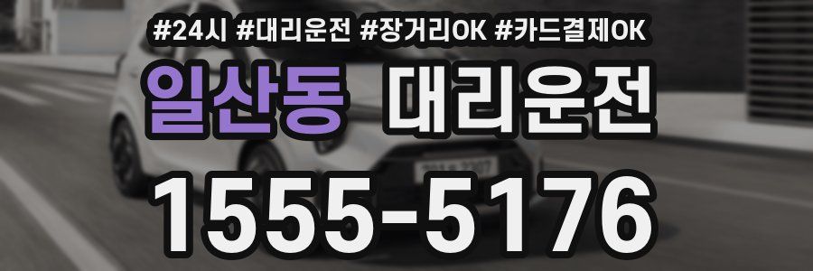 일산동 대리운전