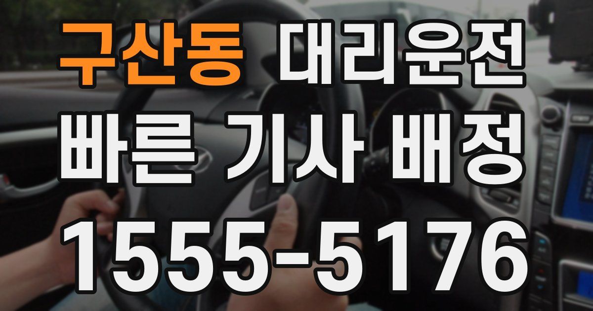일일대리기사