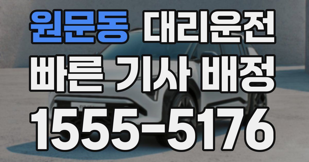 일일대리기사
