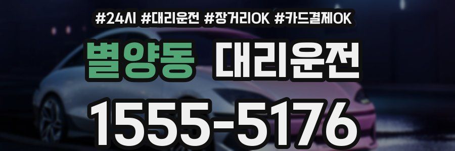 별양동 대리운전