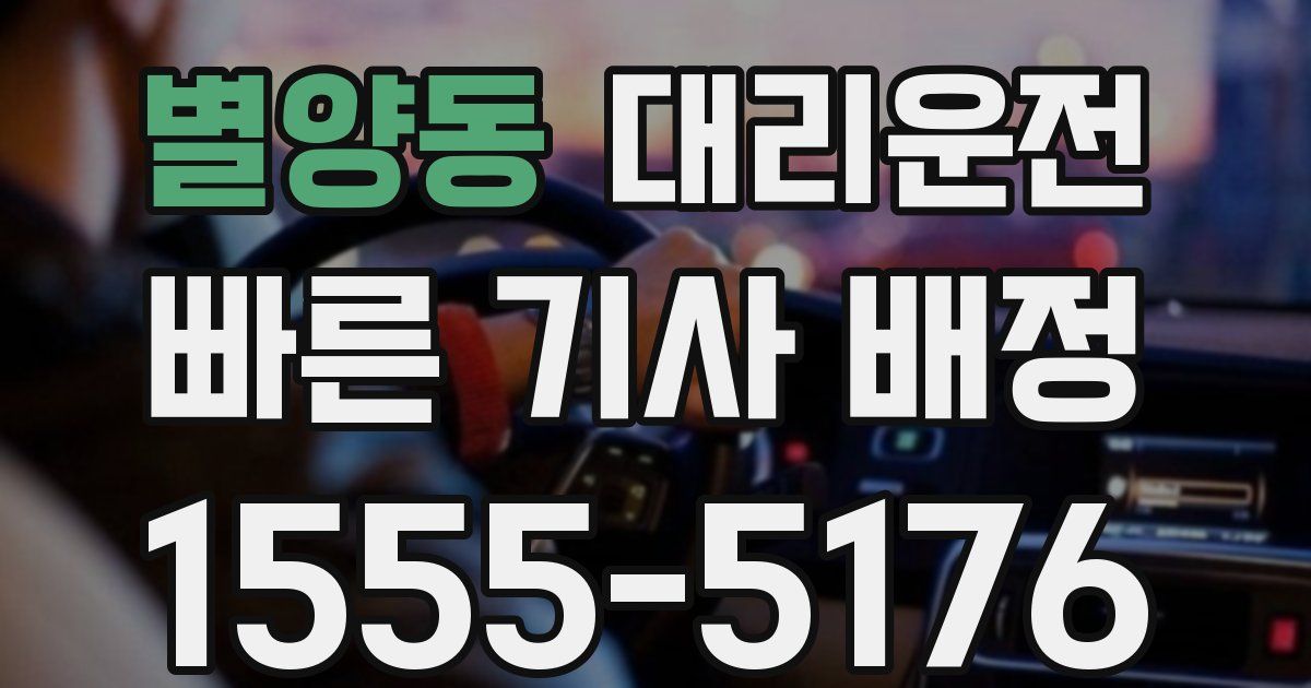 일일대리기사