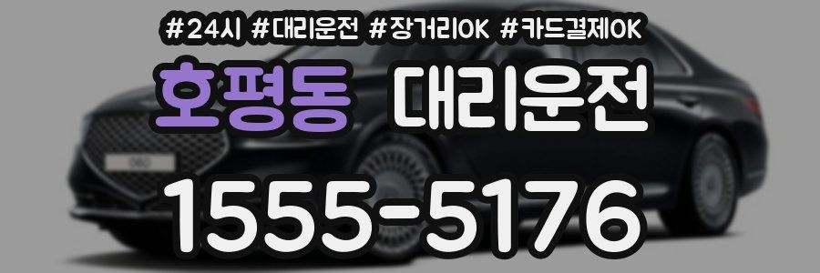 호평동 대리운전