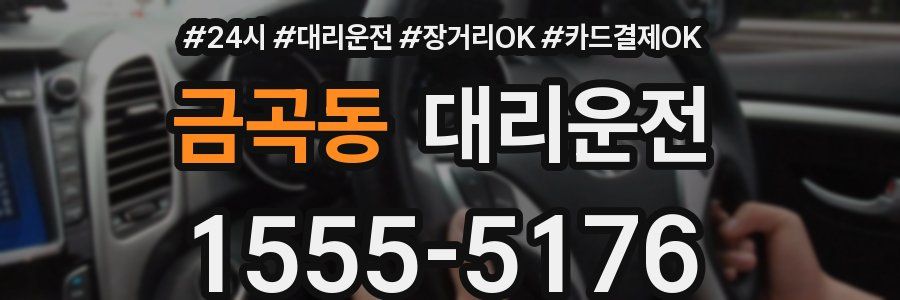금곡동 대리운전