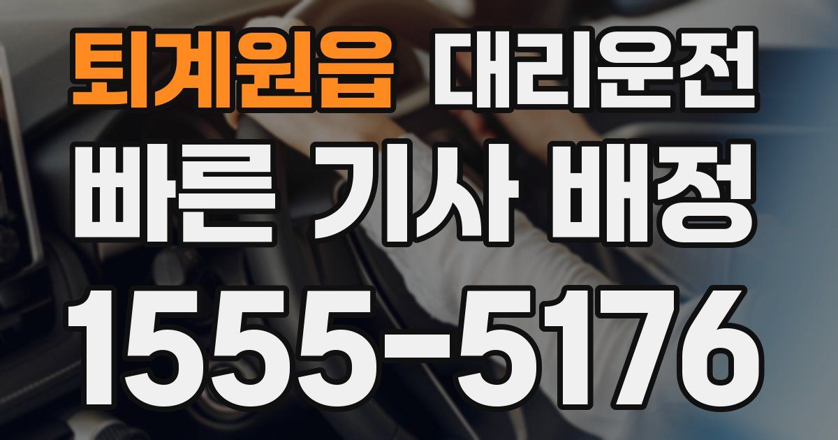 일일대리기사