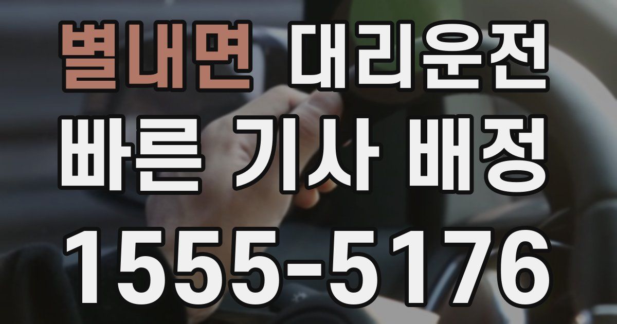 일일대리기사