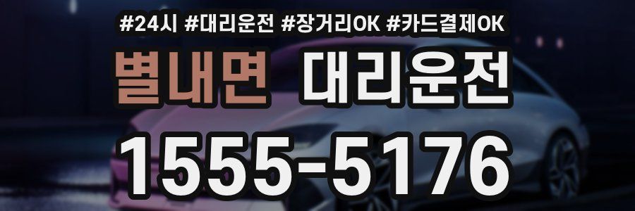 별내면 대리운전