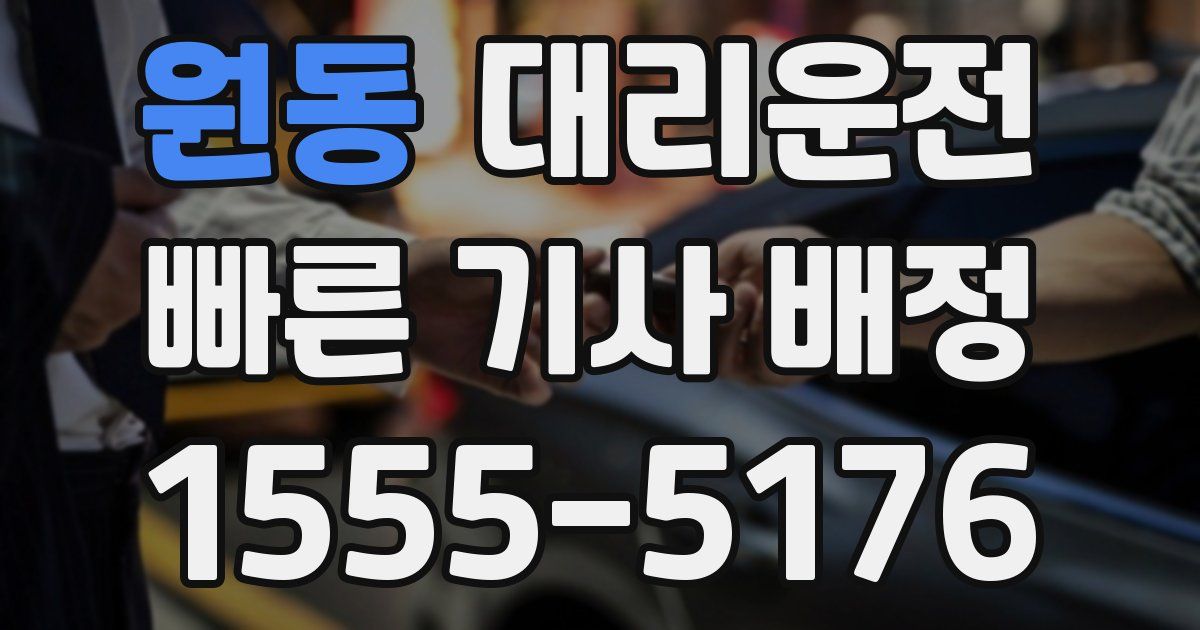 일일대리기사