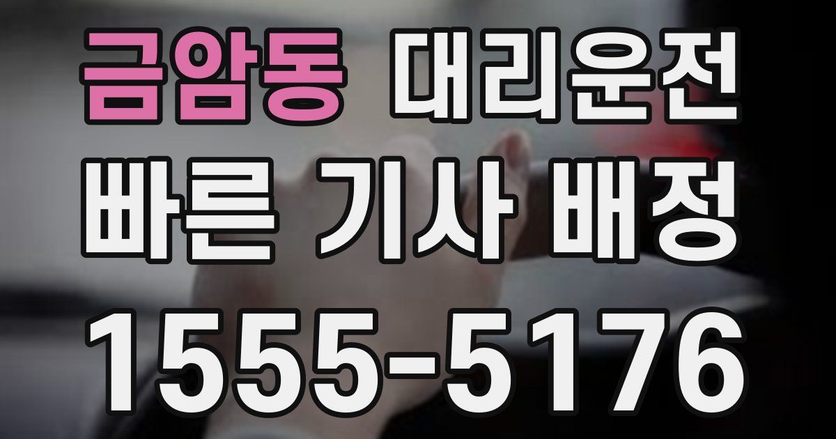 일일대리기사