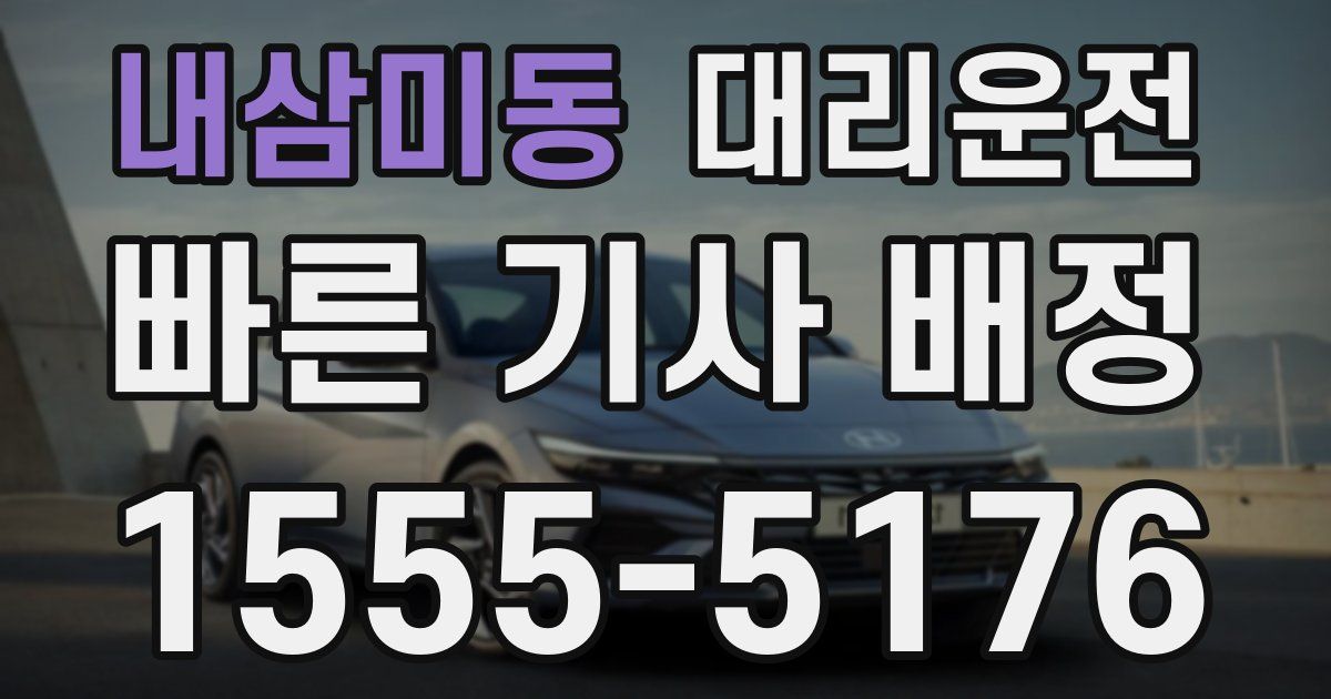 일일대리기사