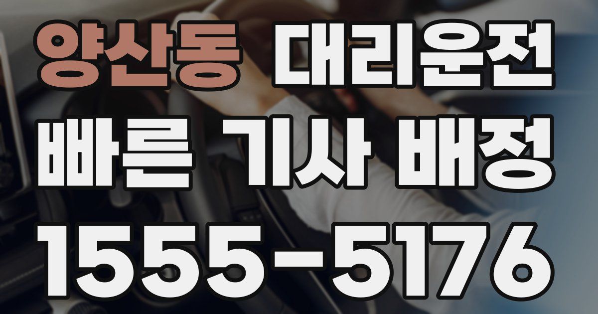 일일대리기사