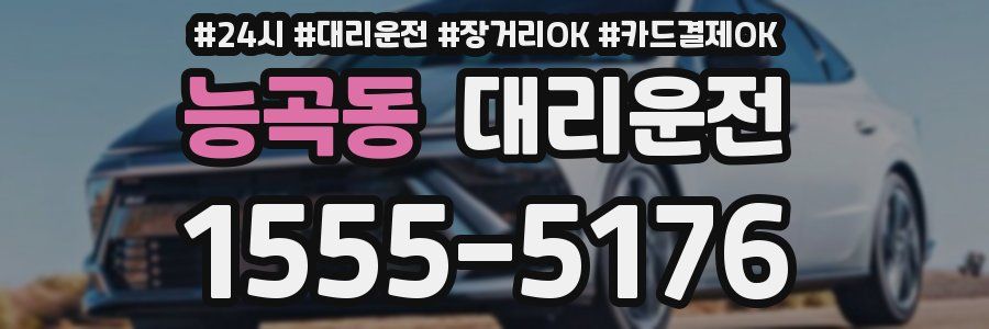 능곡동 대리운전