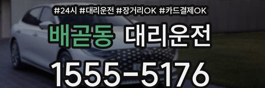 배곧동 대리운전