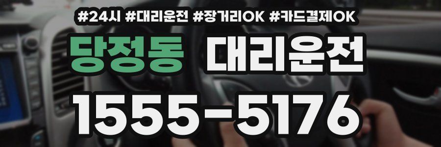 당정동 대리운전