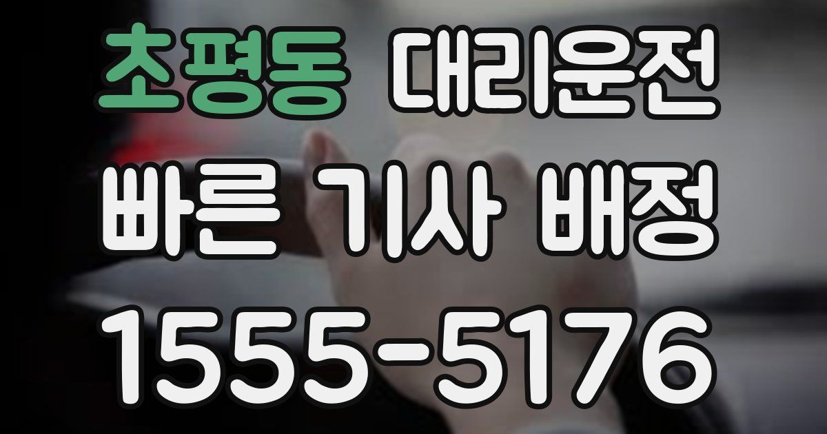 일일대리기사