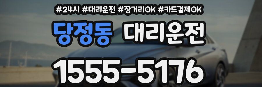 당정동 대리운전