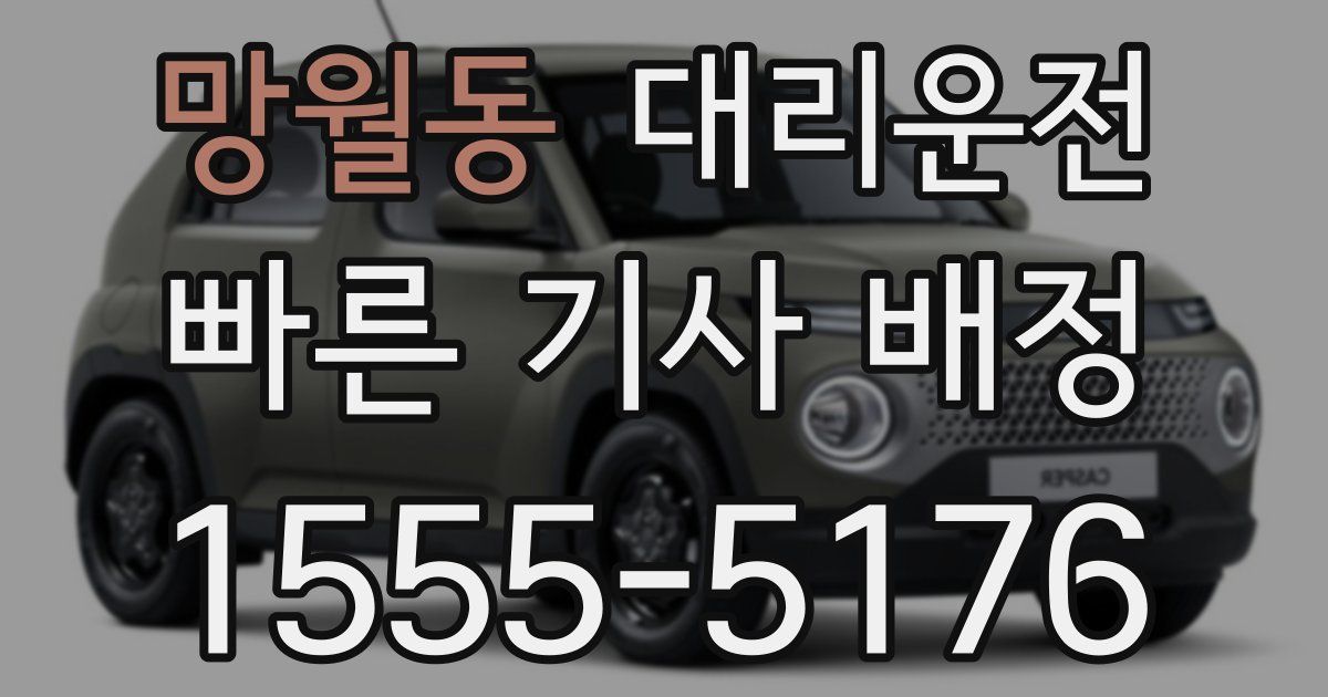 일일대리기사