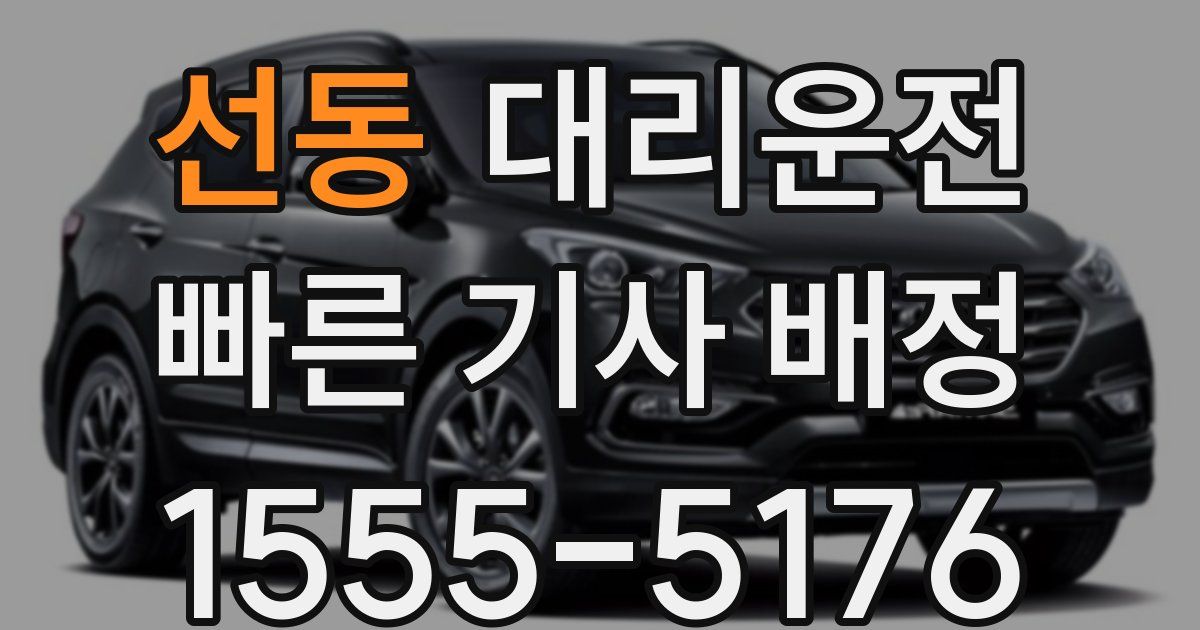 일일대리기사