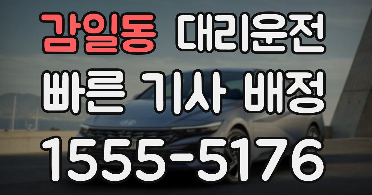 일일대리기사