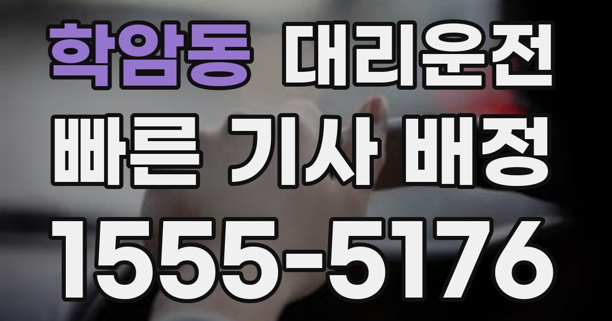 일일대리기사