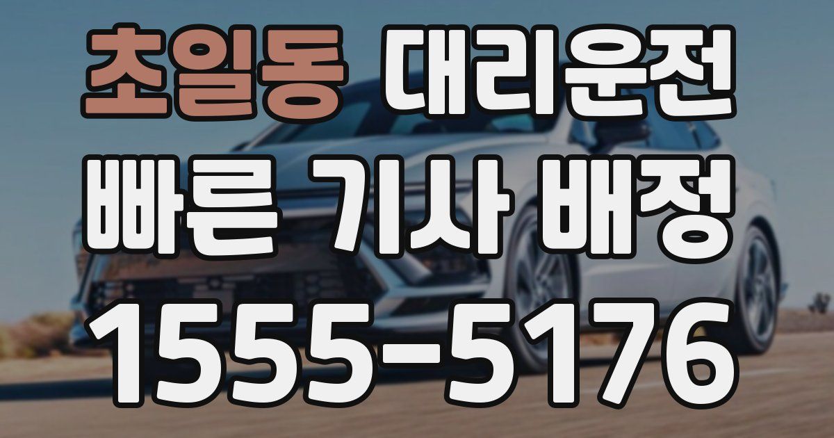 일일대리기사